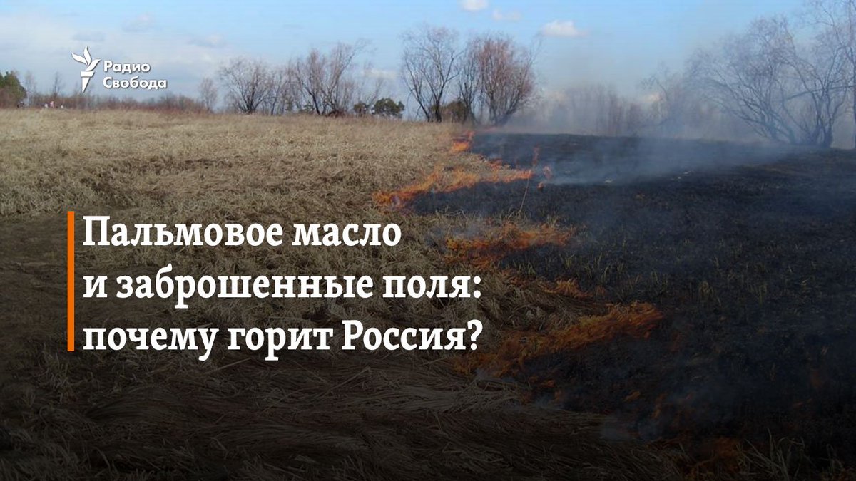 Поле почему е. Почему поле горит. поле причин.