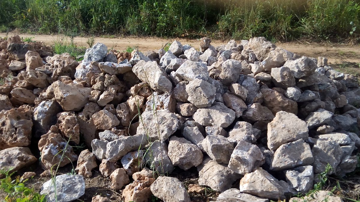 and_ongd's tweet image. YSD-Éducation: Ici seront érigés des infrastructure moderne ,au profit de l&apos;éducation de qualité pour enfants du Village Musompo,sans qu&apos;ils n&apos;aie besoin de faire 7à 11km exposés aux risques et accidents de la N39,gros obstacle s à l&apos;éducation