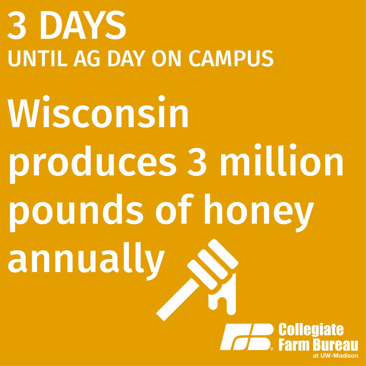 cfbuwmadison's tweet photo. Nothing is sweeter than @AgChatUWMadison being only 3 days away. Except maybe the 3 million pounds of honey Wisconsin produces every year... More info: https://t.co/EP5WKwqKEA https://t.co/04FRunDZj6