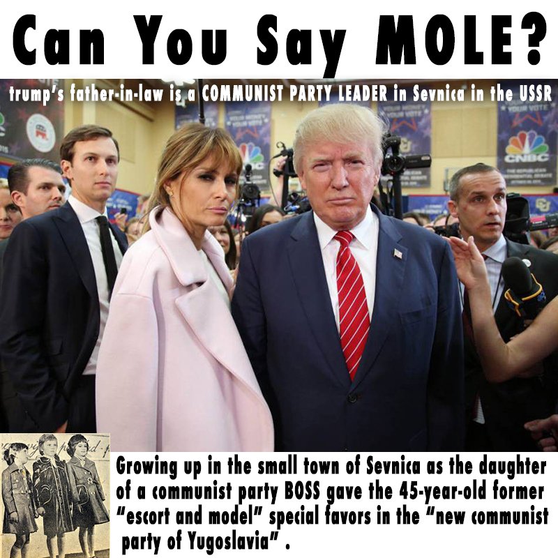 ICDetroitGirl's tweet photo. @jaketapper @MichaelAvenatti @StormyDaniels putin trash.... https://t.co/ZGVQaOl37n