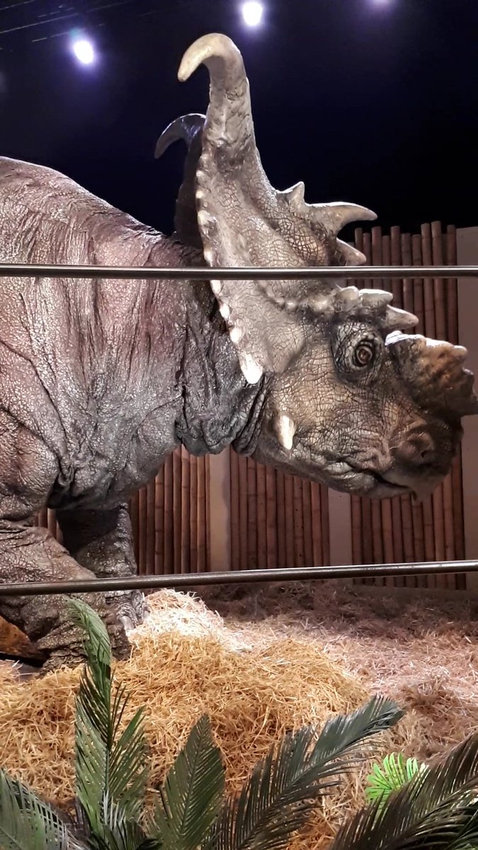 jmgardarein's tweet photo. Vraiment très chouette l'immersion #JurassicWorld
Par contre, certains panneaux piquent les yeux... #FallaitEcouterEnSVT https://t.co/5vu6wafKNu