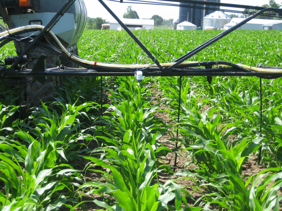KleanTerpenes's tweet photo. Plant Nutrition fertilizer is NOT seasonal! https://t.co/Ql3rTgTal3 #PlantNutrition #PlantNutrients #SoilQuality #Nitrogen #Microbes #MicrobialFertilizer #OrganicGrowing #BioMass #Spores #Soil #Fertilizer #Plant #Crop #Organic #Soilconditioner #Plants #Farm #Farmer https://t.co/zRy4c22svZ