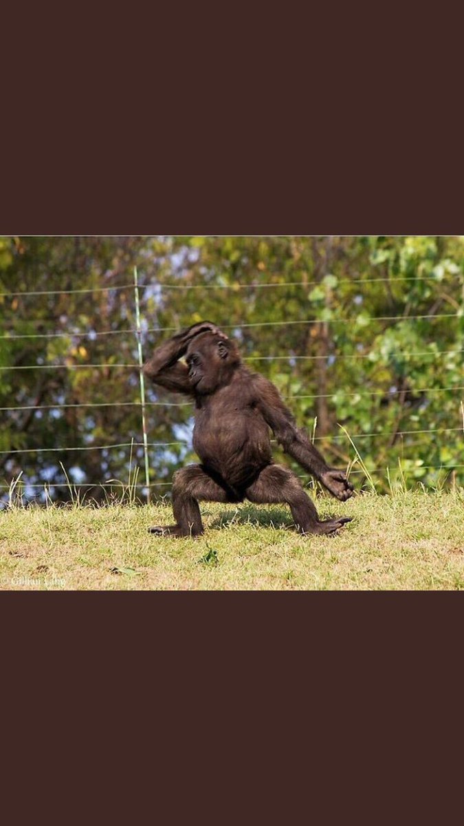 mojafi89's tweet photo. #DateMyFamile
Eish Naledi hle 
😍😍😍 https://t.co/T5qG04mRhp
