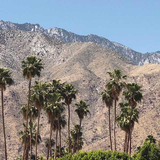 desert vibes // watch our stories for highlights 🌴✨ ift.tt/2qwO6lw