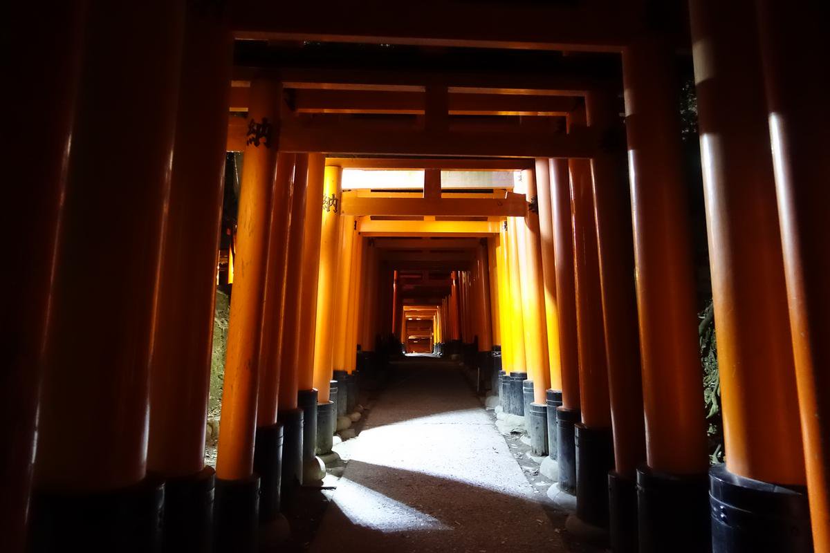 TopMiles's tweet photo. Want to explore the world-famous Fushimi Inari shrine without being swamped by tourists? Go during the evening, and you’ll have the shrine to yourself. 

Plus one of the best-hidden spots in Kyoto to see the cherry blossoms in relative peace:

https://t.co/ci3DsKPOyR https://t.co/EqwY5M7EXZ