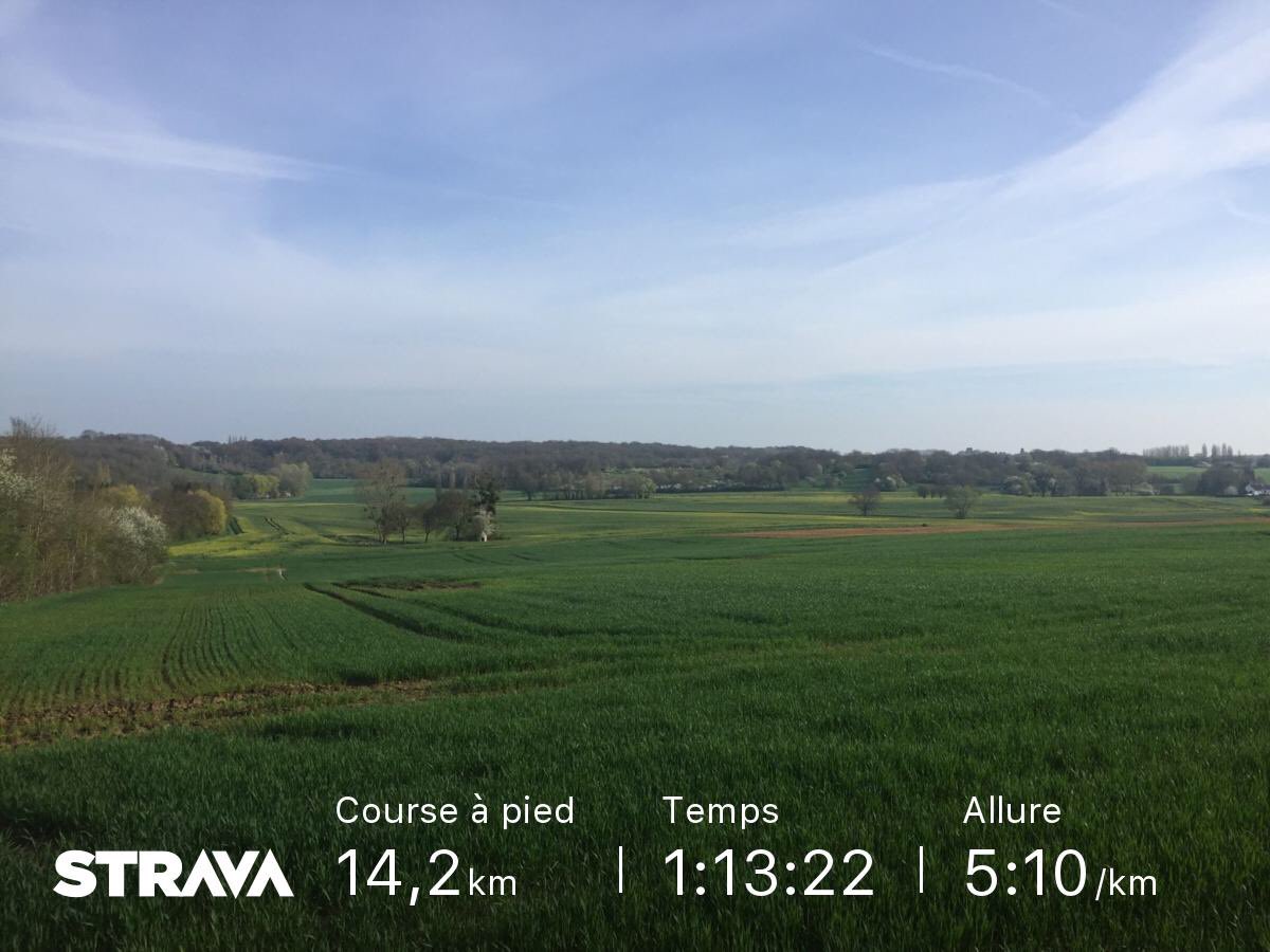 vrtuyau's tweet photo. Regardez ma course à pied sur Strava.
https://t.co/pPA1vaNduF https://t.co/CqDzFMPkVf