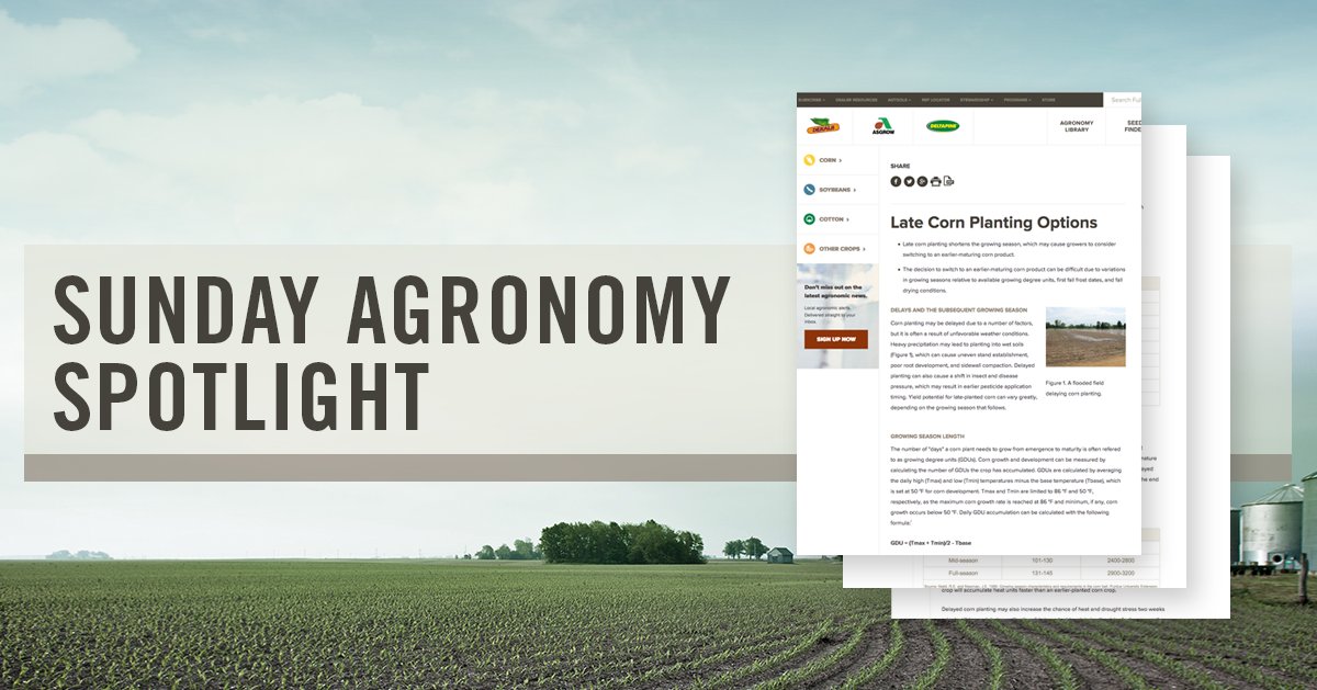 Asgrow_DEKALB's tweet photo. Having to plant later than originally planned? Make sure you read our article on Late Corn Planting Options here: https://t.co/FeNyCBnaMO #MyFarmMyYield https://t.co/DiZeayaDSx
