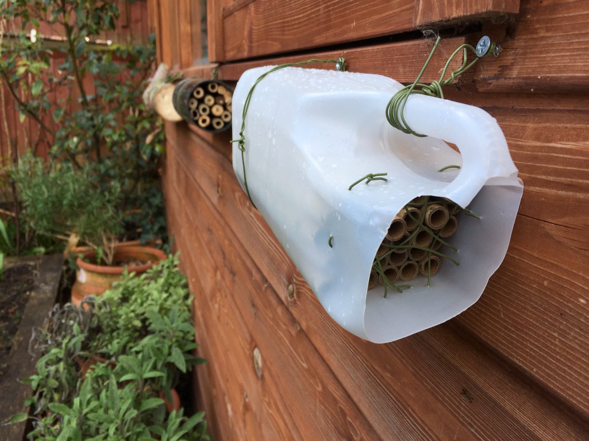 nicolagoddard2's tweet photo. All set up for @air_beenbee #solitarybee #bughotel #bee #pollinators https://t.co/KnbpdUSdAN