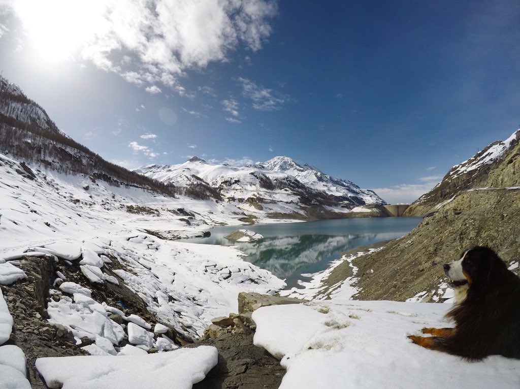 squashfalconer's tweet photo. Not your average walkies! 
-
This is the lake behind the Tignes dam.
-
When the water levels are low enough you can walk down &amp; see the roads, bridges &amp; buildings of old Tignes.
-
“66 years ago the old village of Tignes was evacuated to make way for the flood waters” @planetski https://t.co/AmxIR80ODa
