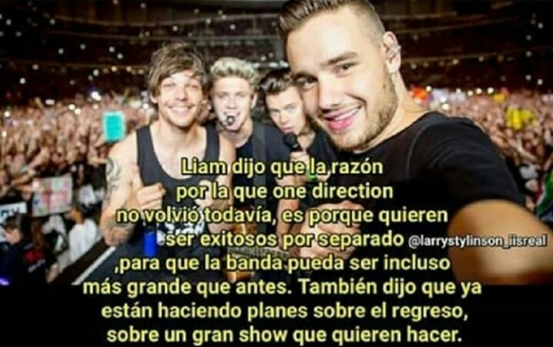 spicypiscesf1's tweet photo. Señor@s dejenme decirles que cuando One Direction vuelva, el mundo va a explotar... O SEA LITERAL TODOS VAN A VER LO QUE ES LA VERDADERA FELICIDAD, LAS REDES SOCIALES VAN A REVENTAR...
Y DIOS ME ESTIY EMOCIONANDO MUCHO 
IMAGÍNENSE UN #MITAMTOUR
ME DA ALGO!!! 
#OneDirectionReunion https://t.co/GFoZmvClhj