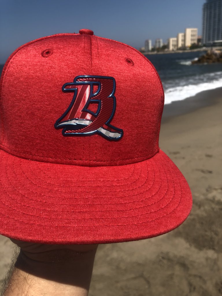 carlosghdez's tweet photo. Tío @NacimosBravos esta ocasión no podemos acompañar en la #invasionBrava en el Romo Chavez pero desde Puerto Vallarta al pendiente hoy #MásBravasQueNunca por la serie! https://t.co/UCUrXFwwyE