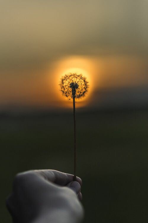 DarkLyalSoul's tweet photo. #AmazingVision ... Release your mind... https://t.co/CP5rbfRsQ0