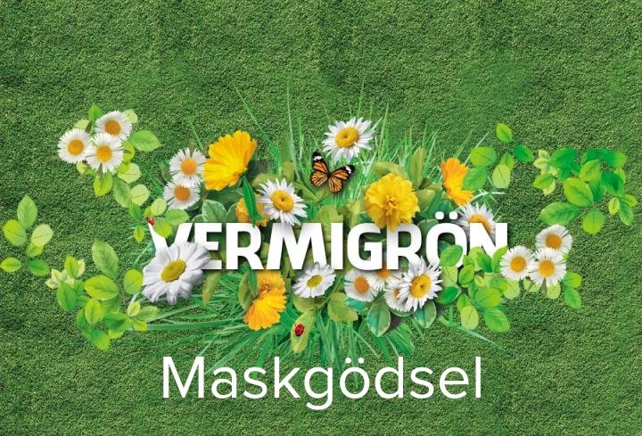 vermigron's tweet photo. https://t.co/Nta8uQ9TN0 https://t.co/JyqZMjr5YN