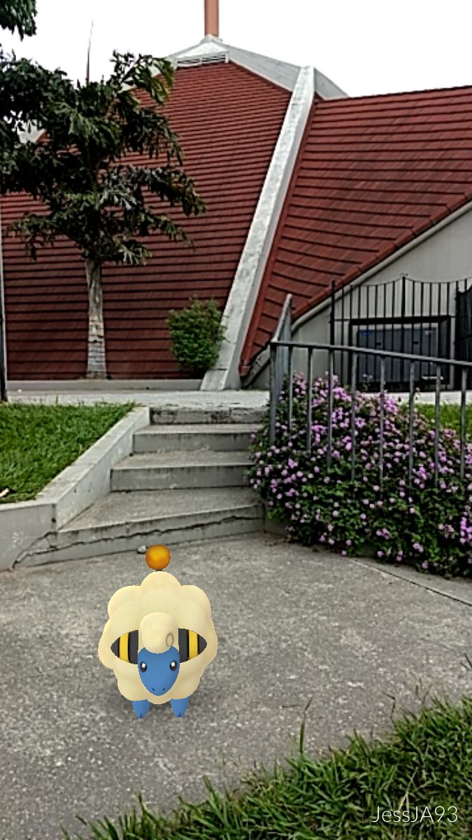 JessHobbies's tweet photo. Un día inolvidable 😉 #PokemonGoComunityDay #PokemonGonLATAM #PokemonGoARG @PokemonGoApp un abrazo @nidospokemongo @DavidpetitGO @keibron nos animan siempre ❤️ https://t.co/N51INI7bZj