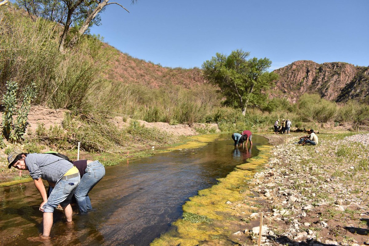 FranciscoBrockm's tweet photo. Los Ecólogos trabajando en el Rio Sonora, realizando un listado de invertebrados acuáticos de este cauce y que representación ecológica hay dependiendo de los parámetros fisicoquímicos de cada estación.
#LicEnEcología #Limnología #PracticaDeCampo #RioSonora https://t.co/YnXrnVsek1