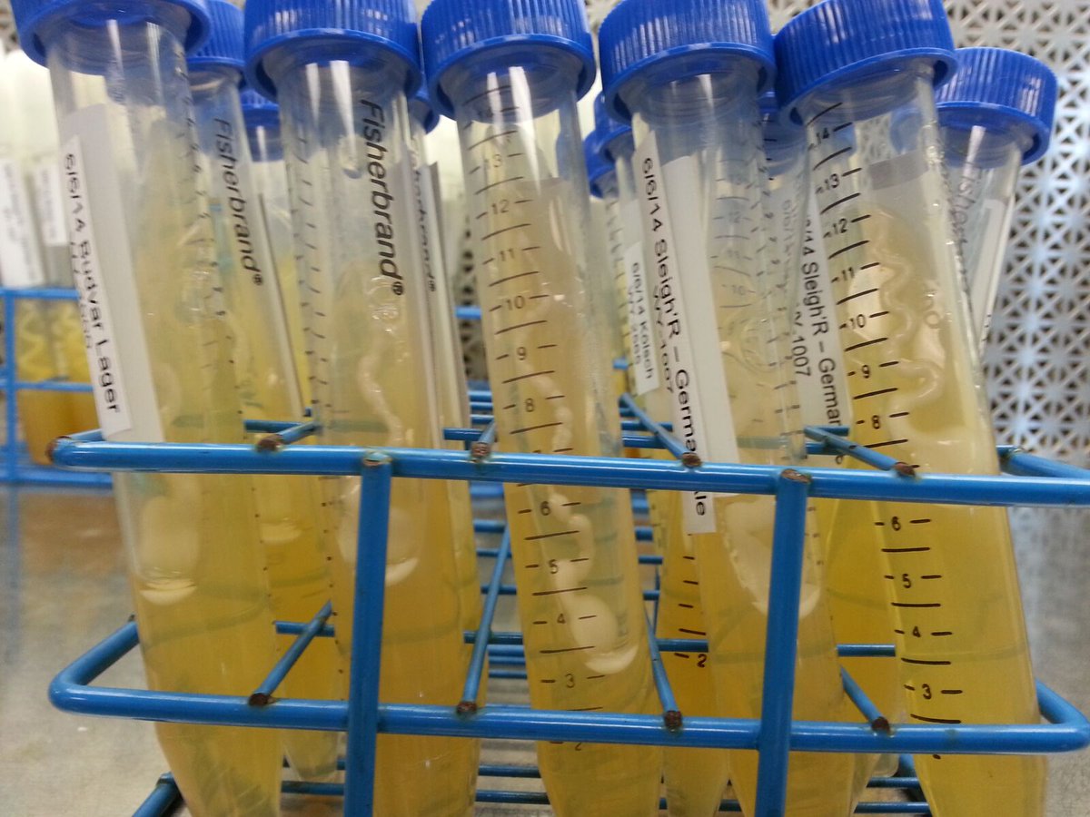 🙌 🙌 🙌 🙌 🙌