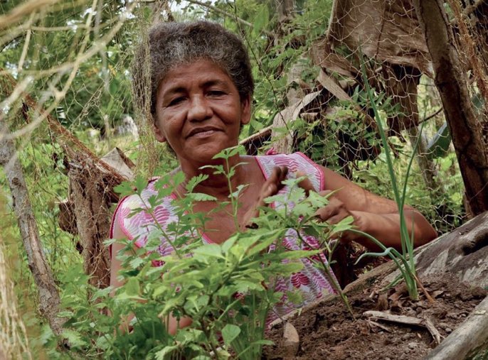 UNDPplanet's tweet photo. The Hanging Gardens of #Colombia - an inspiring response to flooding by local communities - is the sort of homegrown method the gov & @UNDP aim to share nationally to achieve #ParisAgreement & #Agenda2030 #adaptation goals https://t.co/4VXPKDUD87 https://t.co/x904NnaRno