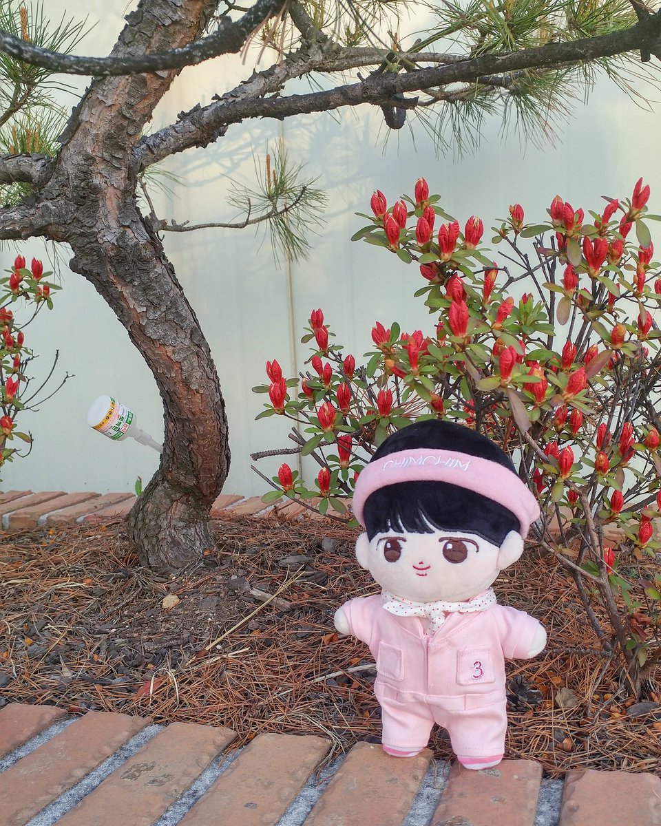 duchiixii's tweet photo. 병원안에 있는 하늘정원에서 찍은 사진📷✨ 좀 늦게 후기쓰는거 같지만 베이비지는 잘 받았어요..! 진짜 너무 귀엽고 재판때 사길 잘 한거 같아요💜 
@BBGmin https://t.co/1I4A6HoAIb