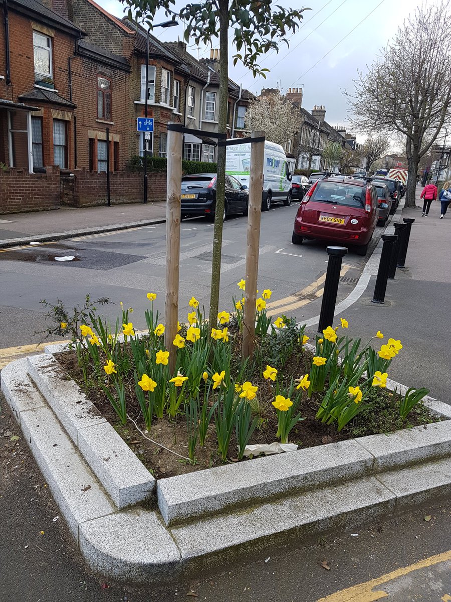 Labourstone's tweet photo. Gr8 to see the free @wfcouncil #SpringBulbs in #bloom today around #LeytonstoneE11 planted by myself & other local residents. #MorningtonRd #WoodvilleRd junc. & #MorningtonRd #BarclayRd junc. & #BrowningRd #HighRd junc. #wfminiholland #planters #Modalfilter #HealthyStreets https://t.co/IUK0ziZoSr