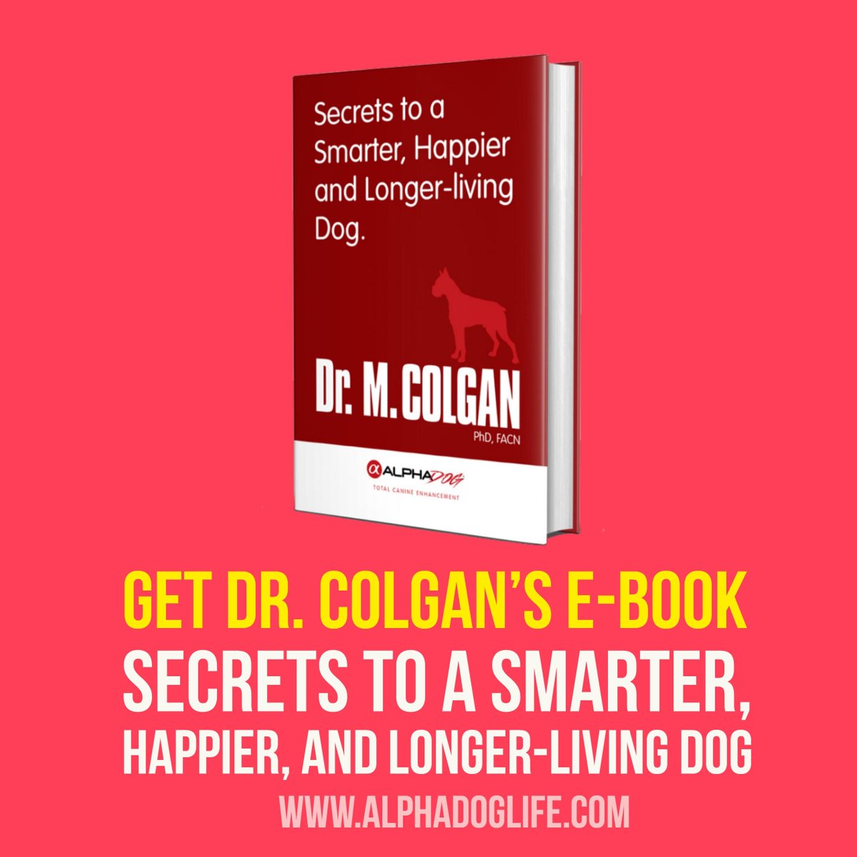 AlphaDog_Life's tweet photo. Get Dr. Colgan's FREE e-Book 
Secrets to a Happier, Smarter, and Longer-living Dog 
from our website https://t.co/oeNRYH9VMF 
AlphaDog Life https://t.co/cfJ4kL6Xcg 
Advanced Dog Nutrition
The world's first nootropic dog nutritional supplements. https://t.co/VZRTjXa5cn