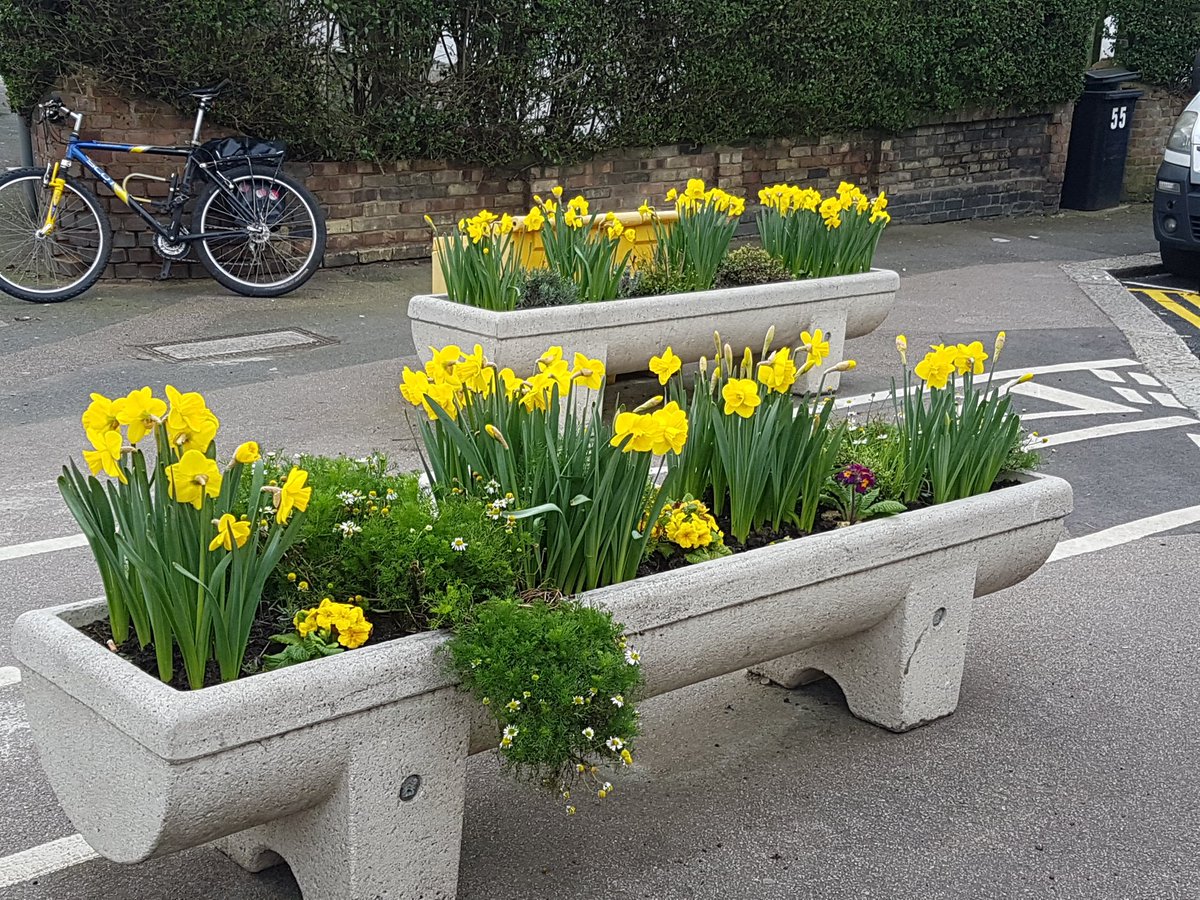 Labourstone's tweet photo. Gr8 to see the free @wfcouncil #SpringBulbs in #bloom today around #LeytonstoneE11 planted by myself & other local residents. #MorningtonRd #WoodvilleRd junc. & #MorningtonRd #BarclayRd junc. & #BrowningRd #HighRd junc. #wfminiholland #planters #Modalfilter #HealthyStreets https://t.co/IUK0ziZoSr