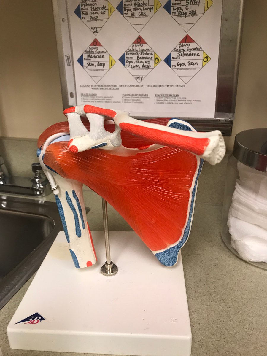 Briellef123's tweet photo. Just posted my week 9 #WISEJournal about another day in an orthopedic surgeon's office! @ChesserPink https://t.co/aFAoqL9vAv