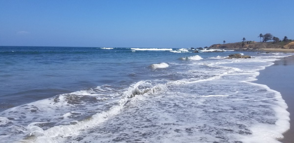 Dream BIGGER than ever!