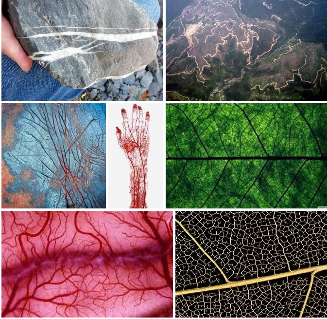 TruEryn's tweet image. #TeachINs #BloodMemory #BurriedRivers #EmergeINTruths #HonorYourAncestors
 The #joUrneyIN of reMemberIN #EternalTruths #TruEryn #TheFlow in this toGather+