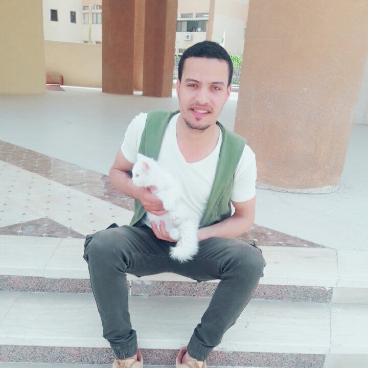 ENewir's tweet photo. #N_P
قلب الانثي قطة 😂😂😂 https://t.co/sJUyAmQD6V