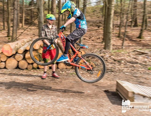wiesegart's tweet photo. Da fliegen sie wieder: Bikekids der @bikeschulesauerland #kids #mountainbike #bikeschulesauerland #mountainbike #mtb #bike #bikes #cycling #mountainbiking #bicycle #mtblife #bikelife #instabike #trail #biking #mountainbikes #mountainbiker #bikeschule #bi… https://t.co/9kBKMatcUr https://t.co/HUD9xmToyS