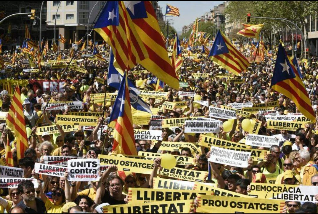 CDRepública - Ripoll tweet media