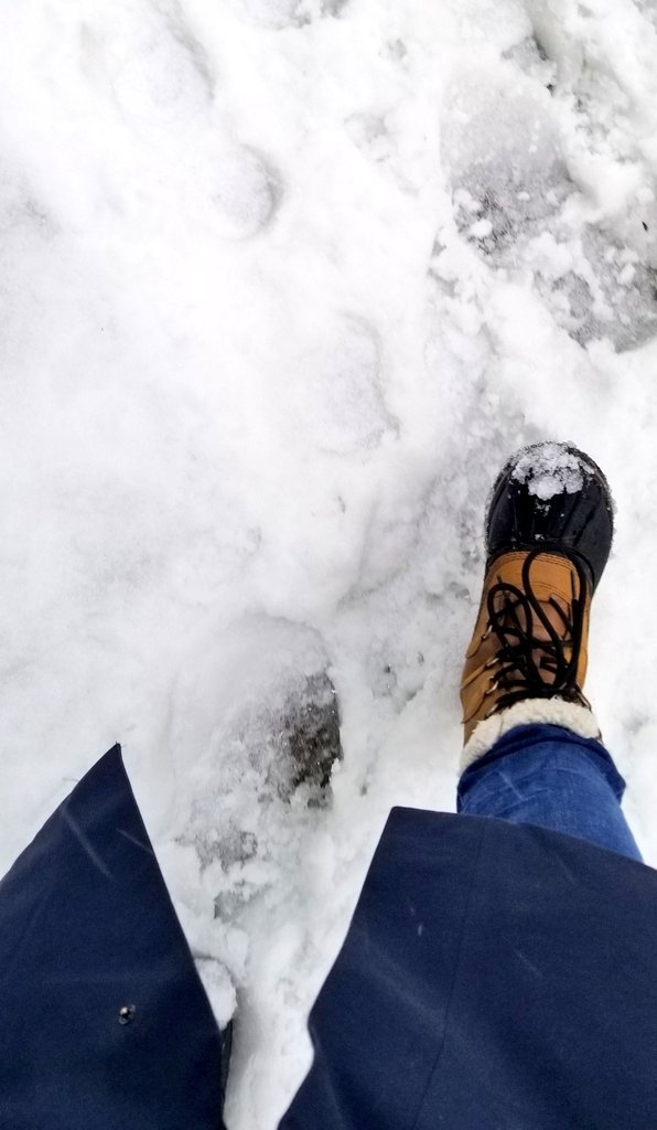 thatCandyChan's tweet image. I just want my coffee 😭 #onstorm #CanadianSpring