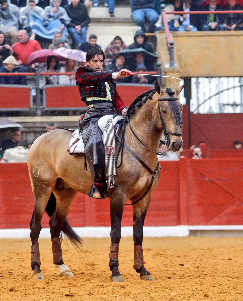 economiadeltoro's tweet photo. Ventura NO tiene techo. Así mató al quinto de su encerrona. https://t.co/N8uNSLjSkX