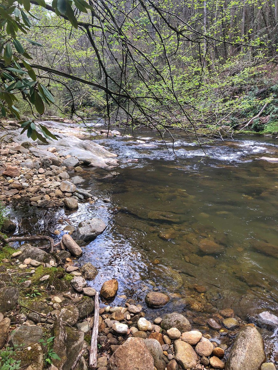 CFD_Alarm's tweet photo. We left Burke County before the crazy weather hit & our FieldComm Team is now back in Charlotte. We had a great weekend of training in the Pisgah National Forest supporting the Western SAR exercise. #FirstDueEverywhere #FieldComm #WNCSAR #NCSAR #COMU https://t.co/uwOmSvrQhQ