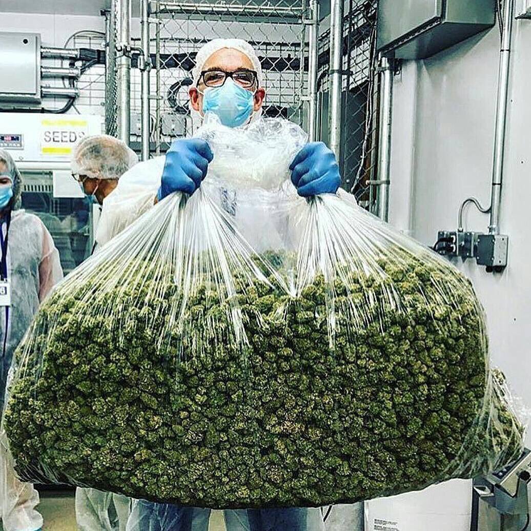 HempLifeGlobal's tweet photo. How’s your Sunday going today?

There’s a new secret cannafam community we’d love to see you in called https://t.co/tYVEGvUmfg 🔥😉

Come join @WomenOfCannabis @LasVegasCanna @Florida_Hemp @NewYorkHemp @MaineHemp @HollywoodHemp @__Marijuana___ @weed_reader 🤯💨💨 https://t.co/ArvLqqrK0l