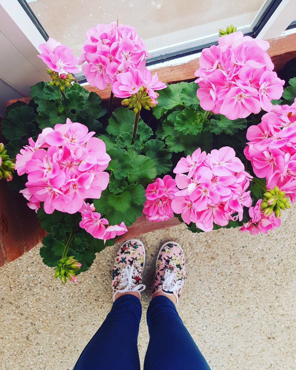 edooris's tweet photo. Took my little floral pumps out for a walk in the tropics today. Checking out the refurbished #tropicalravine at Botanic Gardens Belfast. Then popped into the @UlsterMuseum check out my instastory.#daytrip #walkingfeet #primarkstyle #floralprint #sundayfunday #botanicalgardens https://t.co/aBZ7DJc7dy