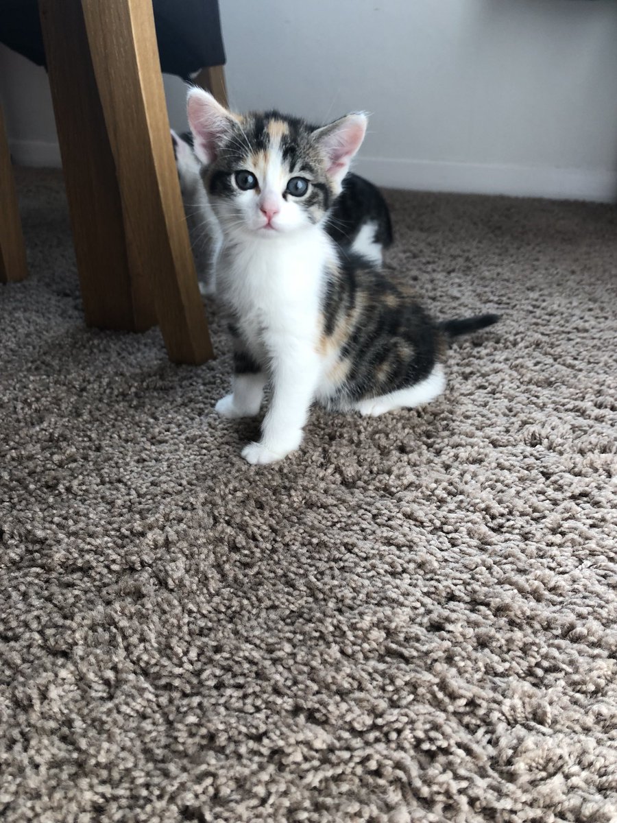 Melissa 🙋🏻‍♀️ tweet media