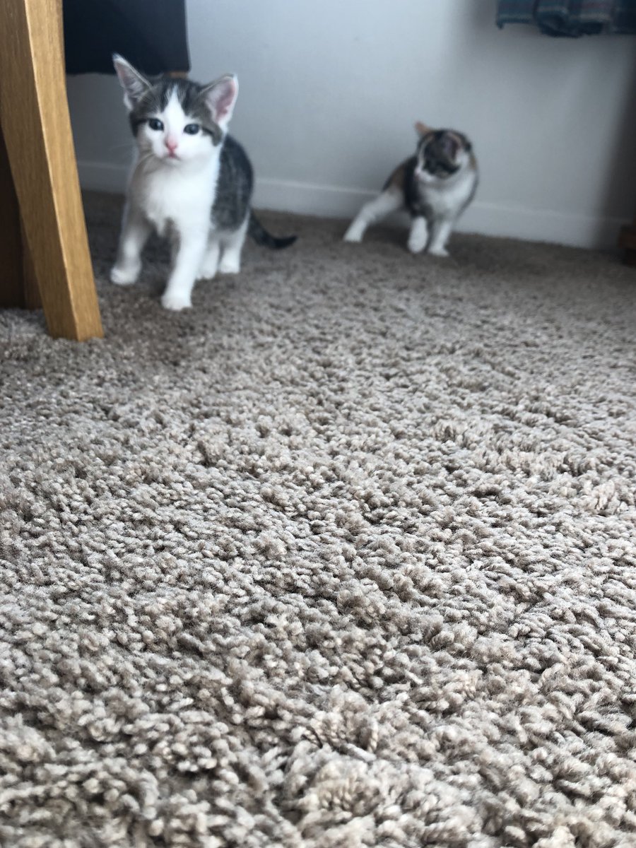 Melissa 🙋🏻‍♀️ tweet media