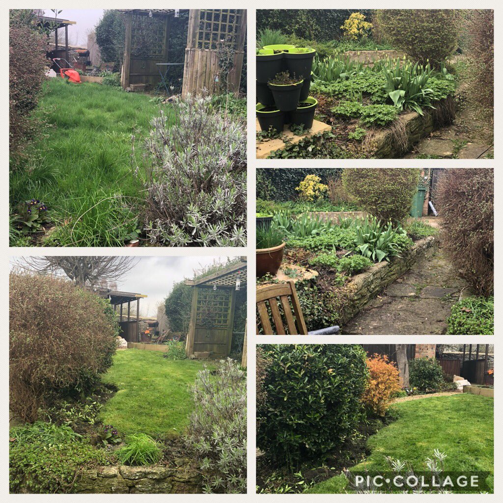 cbitlisa's tweet photo. Hard work in the garden today #breakingback ouch!! https://t.co/gh8Pc4PCPc