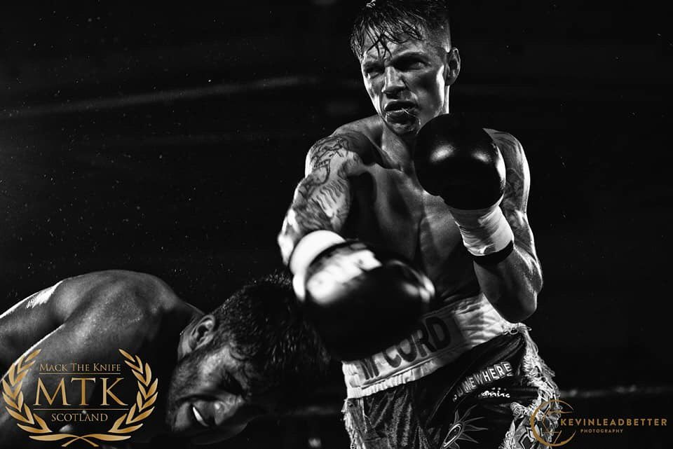 Kynoch Boxing tweet media