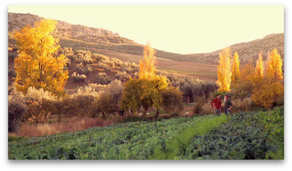 rutasCapone's tweet photo. Nos vamos con un experto en la tierra a conocer su cultivo 100% ecológico 
@la2_tve @SomosDocumental #RutasCapone 

https://t.co/2KVnZmSz0X https://t.co/8crn0hinIr