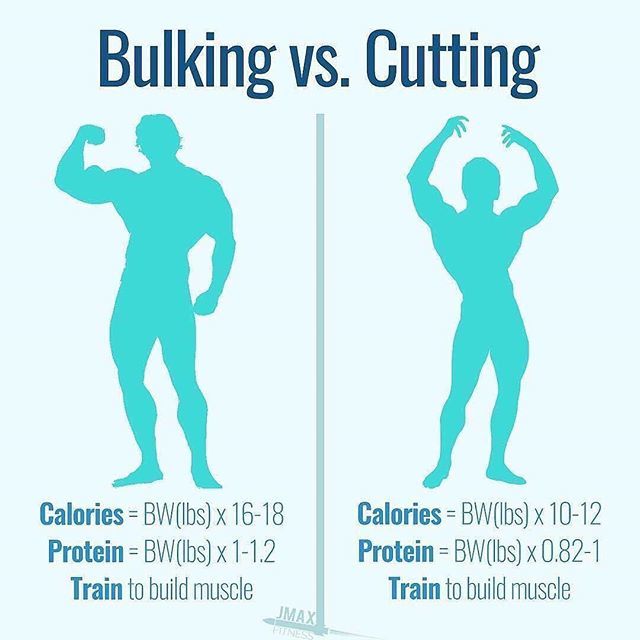 Bulking vs. Cutting