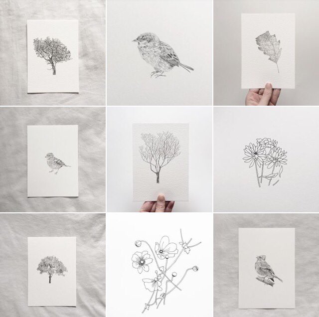 Claire Leach tweet media