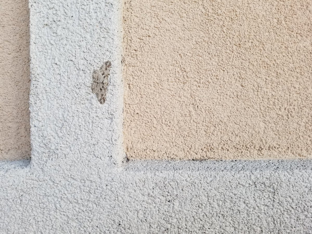 NashTurley's tweet photo. Collaborative art piece between humans and a moth. #urbannature #lepidoptera https://t.co/8K0cvoEyuU