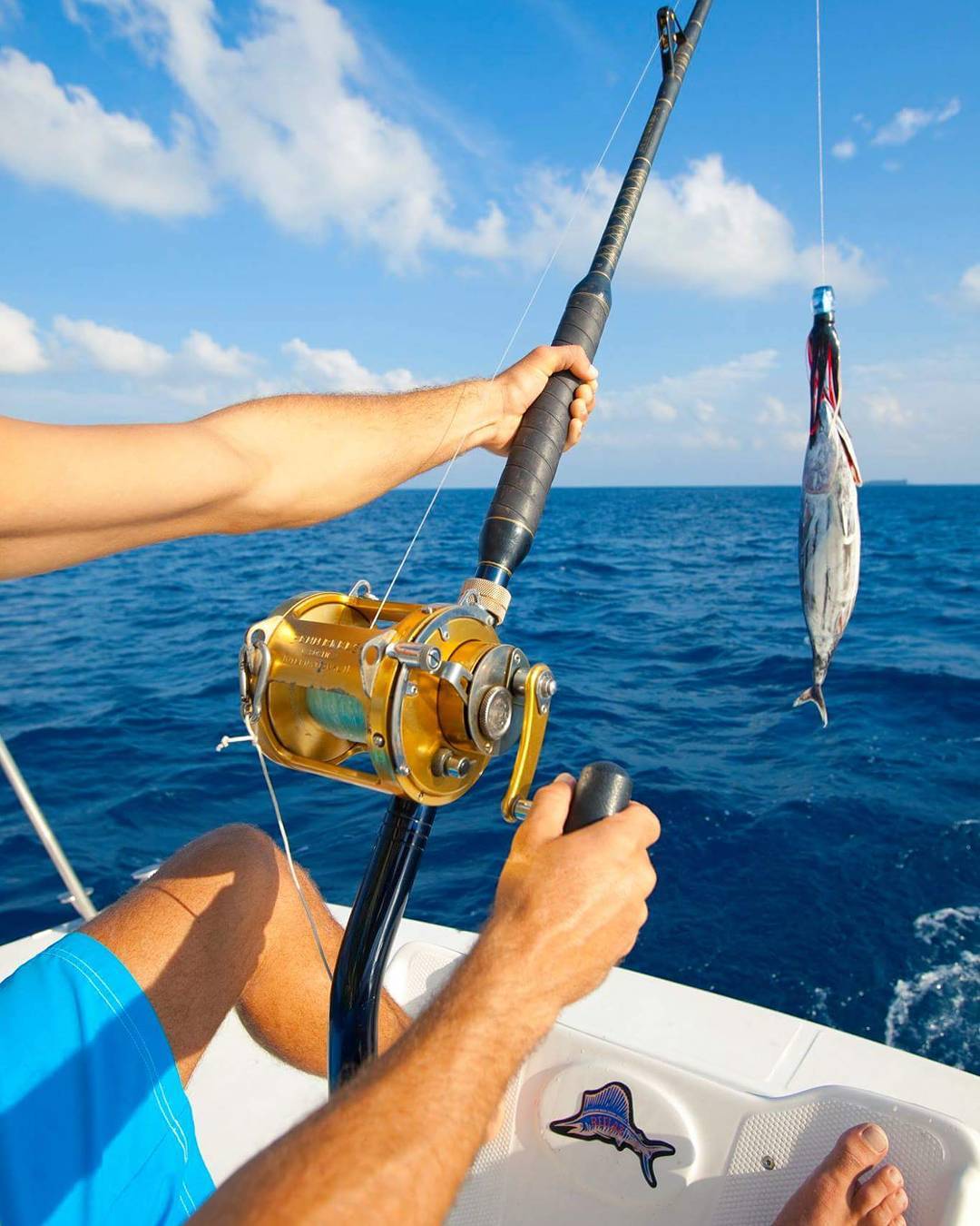 Big Game Fishing ubicaciondepersonas.cdmx.gob.mx