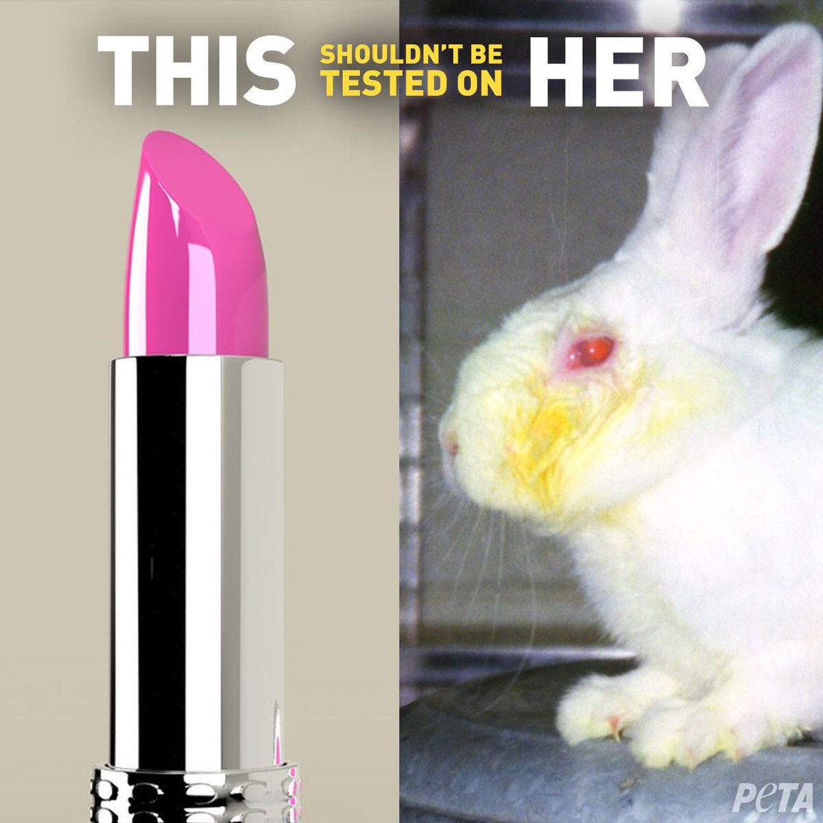 peta's tweet photo. Hundreds of thousands of animals are BLINDED and KILLED in tests for cosmetics like lipstick 💔

Always buy #CrueltyFree and #vegan cosmetics! https://t.co/kZIW6xbQ4O