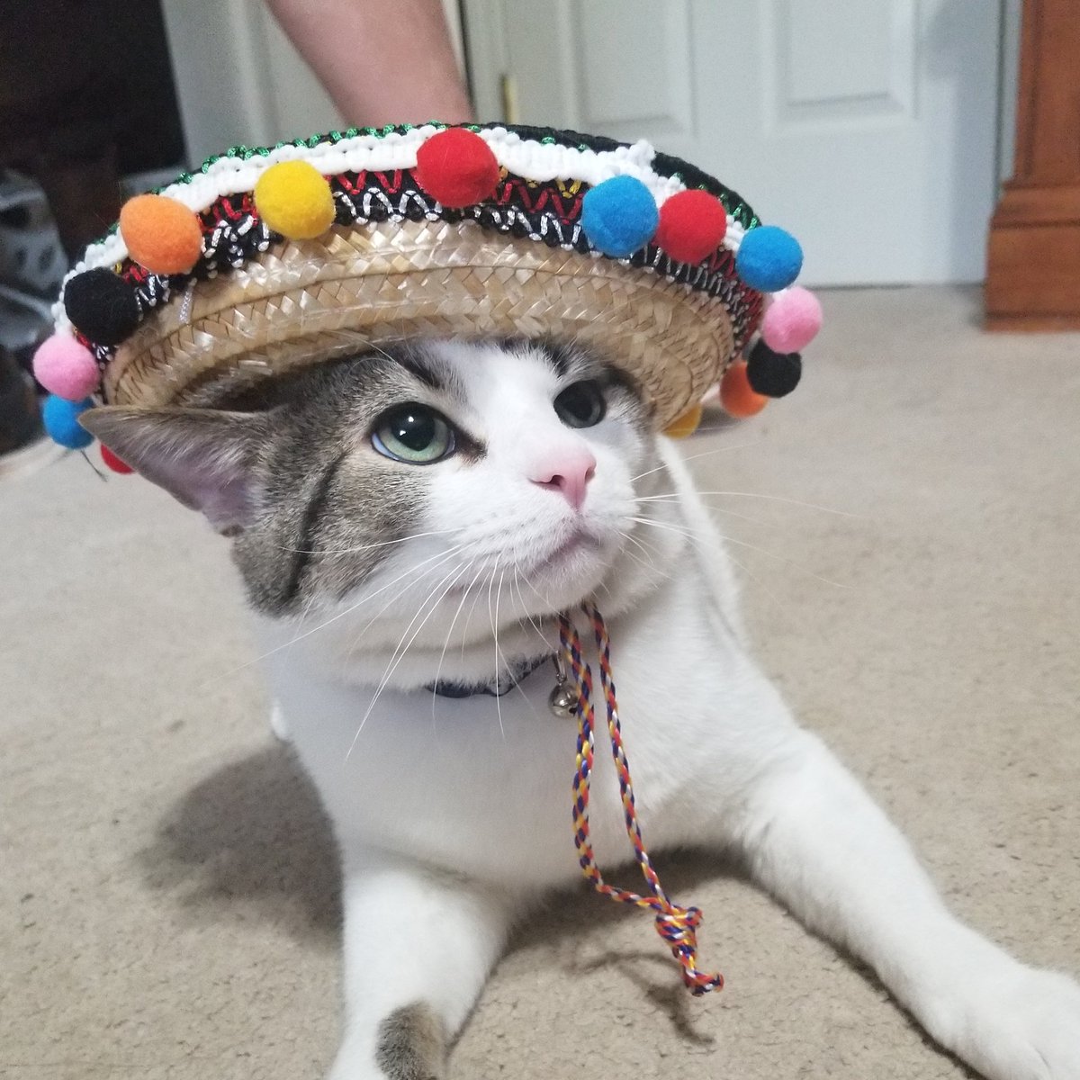 #NewProfilePic