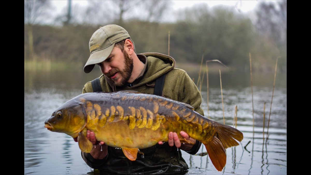 MainlineBaits's tweet photo. Steven Hodds with a litter stunner he caught recently using a successful combination of Cell boilies, Essential Cell boilies and a Cell Balanced Wafter! #MainlineBaits https://t.co/SmjI52CEaf