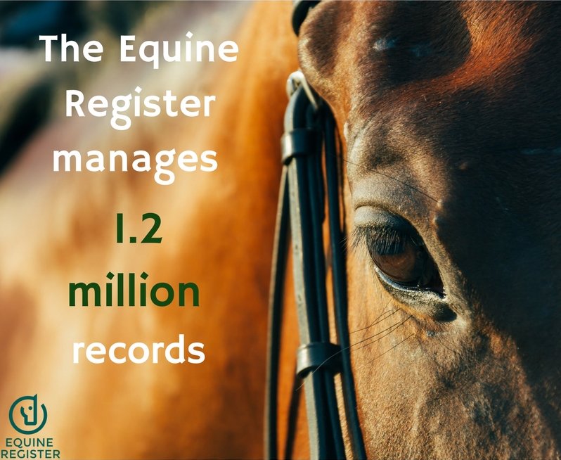Did you know that the #EquineRegister is the home of all equine identity information managing 1.2 million equine records for #DEFRA?