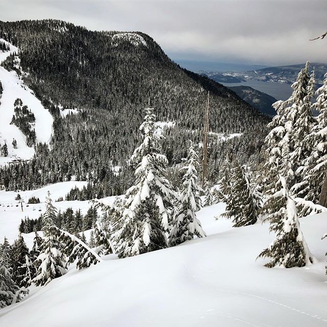 moonriderpro's tweet photo. Big shout out the @cypressmtn crew for another stellar season of snow.  It’s been over 25 years of ripping this mountain and it just keeps getting better and better. #snowboarding #ridethelocals #shredlifebalance #vancouver #powderchaser #cypressmountain https://t.co/R7Y4bCVzzL https://t.co/WXd9IUFvfH